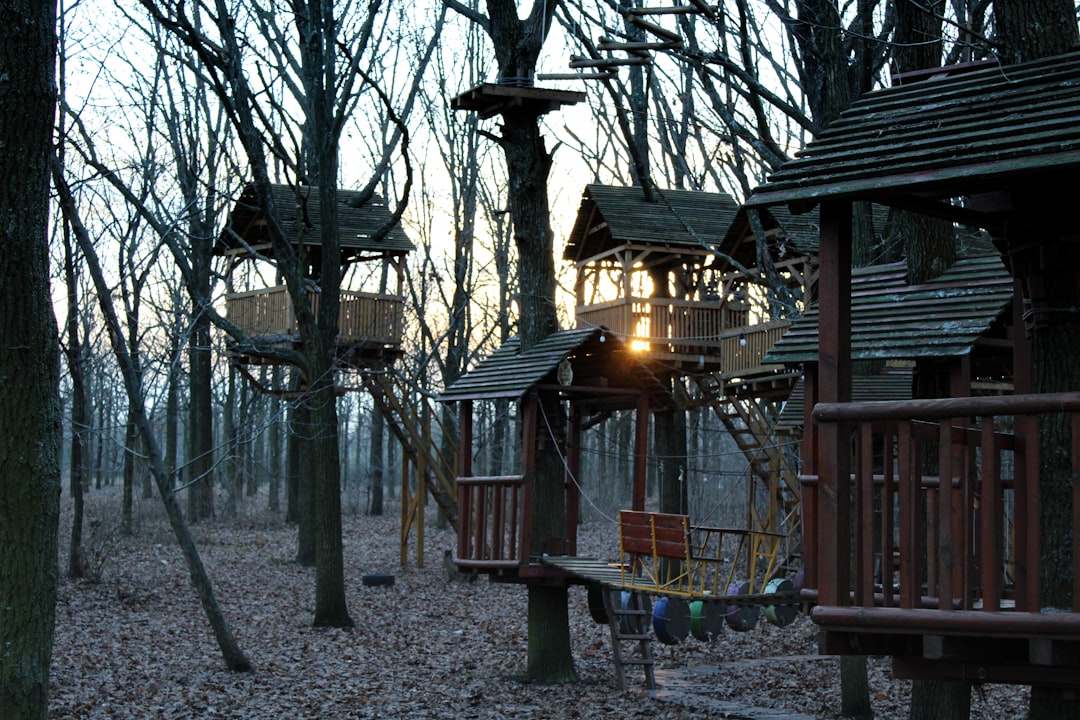 Treehouse