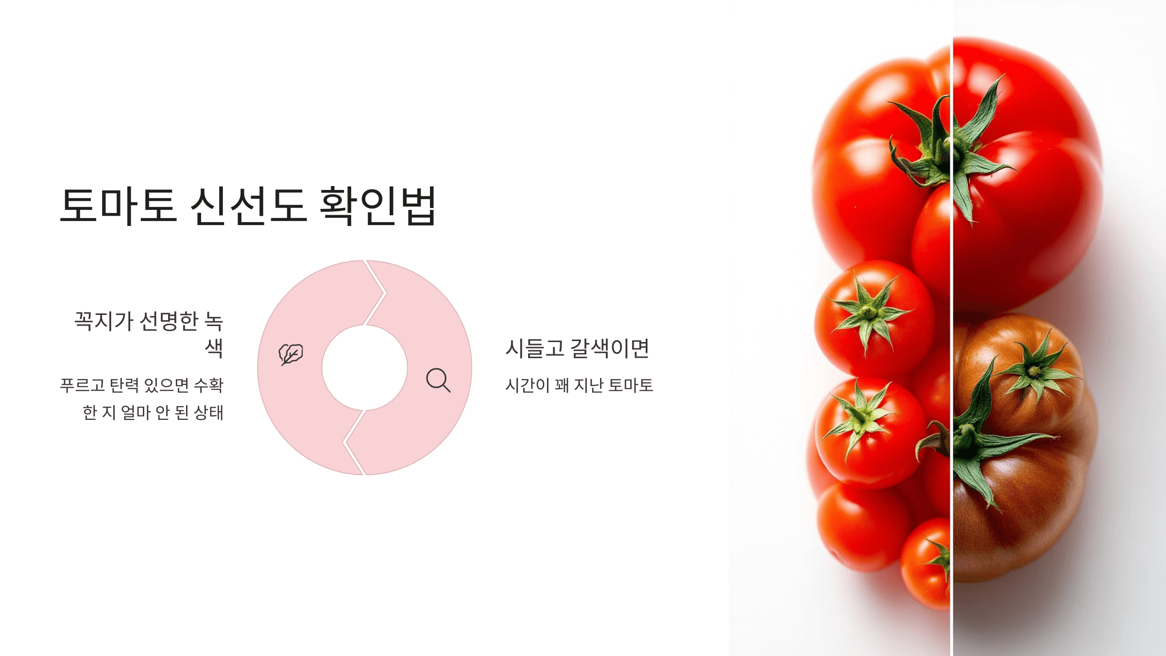 토마토 사진입니다.