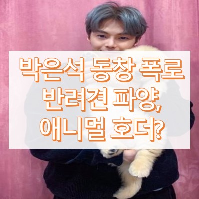 박은석 반려견 파양