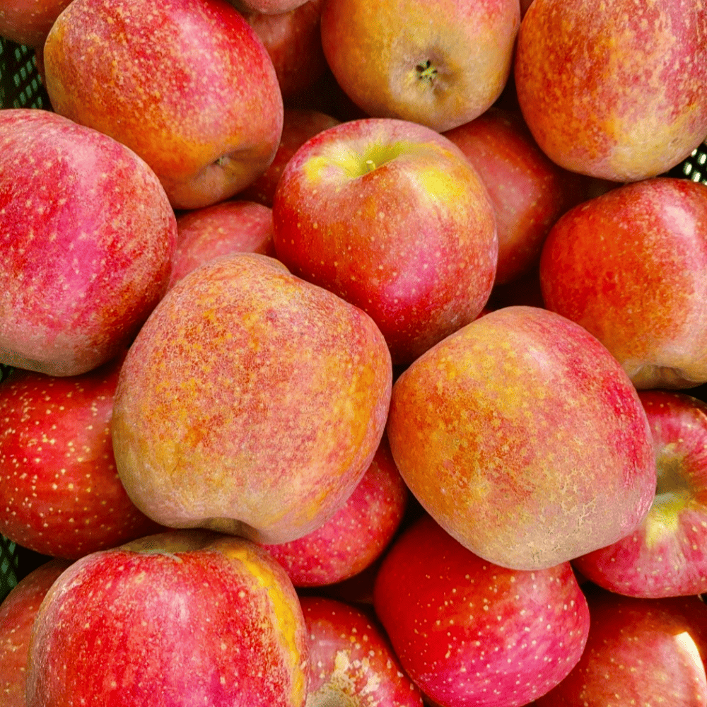 감홍사과 추천 순위 TOP 5(24년 11월) – 네이버, 쿠팡 인기 판매 제품 비교