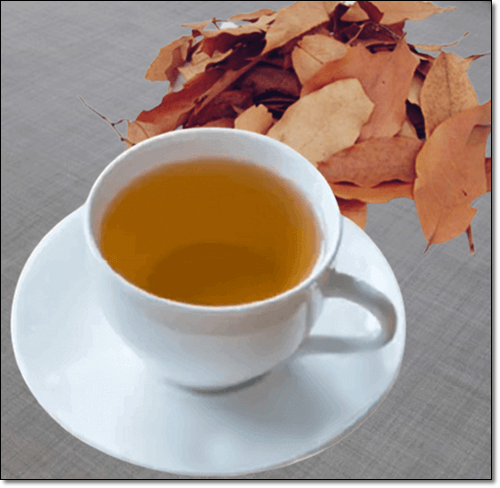 감태나무 잎 차