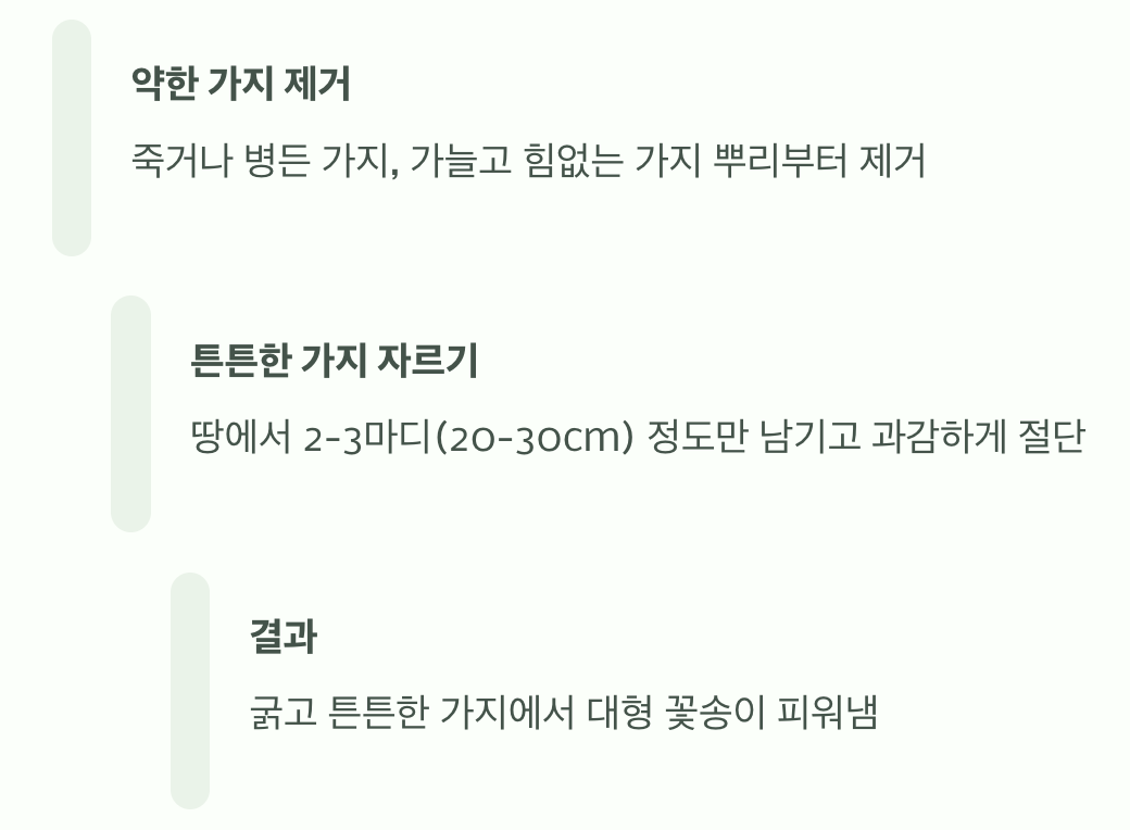 초보자도 할 수 있다! '강전정'의 기술