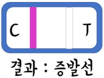 임신 테스트기 올바른 사용법