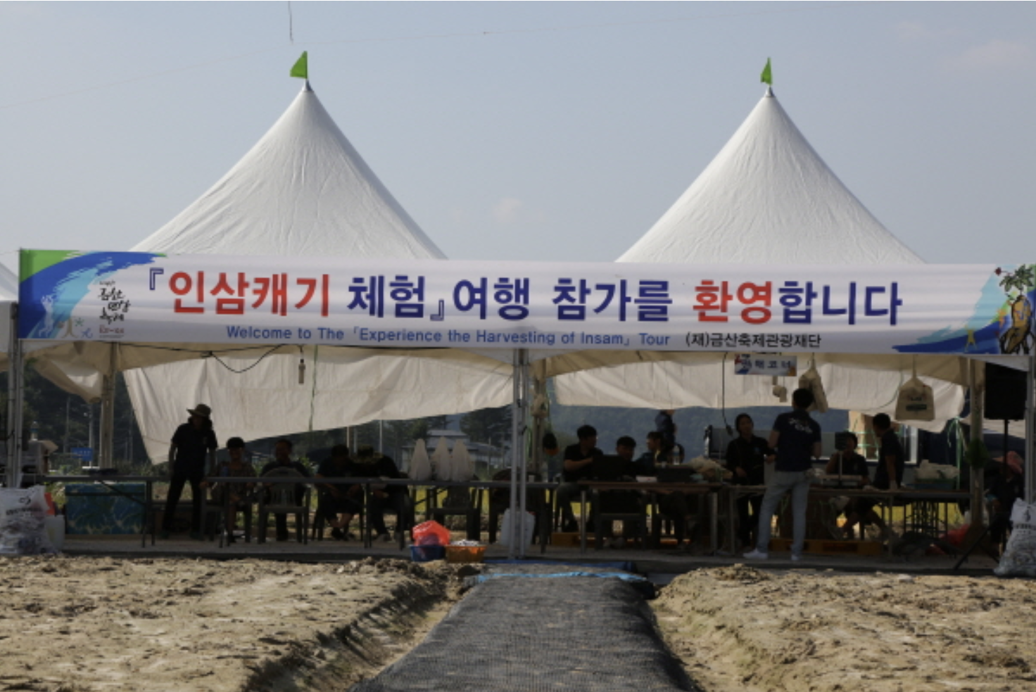 금산세계인삼축제