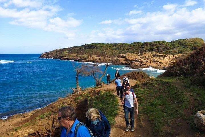 관광객들이 알제리 티파사의 해안 산책로를 따라 걷고 있다. 길 왼편에는 푸른 지중해가 펼쳐지고, 오른쪽에는 고대 로마 유적이 숲과 함께 어우러져 있다. 맑은 하늘과 파도, 초록의 언덕이 조화를 이루는 평화로운 풍경이다.
