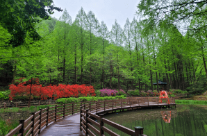 장태산자연휴양림 요금 선착순 사전예약 주차 할인 산림복지바우처