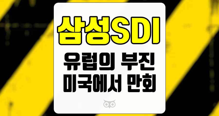 삼성SDI, 전기차 배터리 시장의 변동성과 성장 가능성