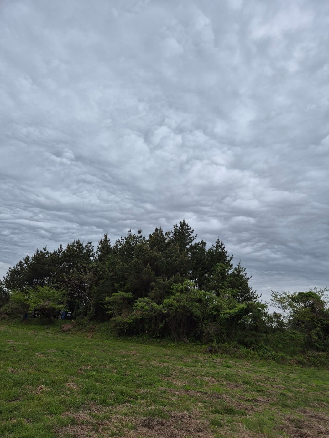 2025 혼자 떠나는 크루즈 여행 꿀팁! 혼자여도 충분히 즐거운 이유