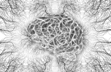 주의력 훈련을 위한 검증된 뇌 훈련법