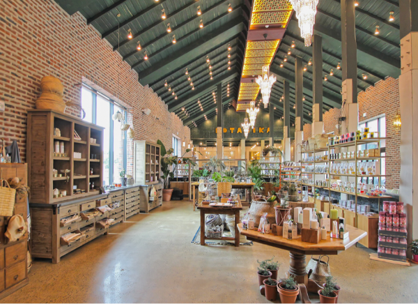 제주허브동산-제주도 서귀포시 표선면 위치, 150여종의 허브, 유럽풍펜션 휴양지, 빛의 축제-카페 Botanica170