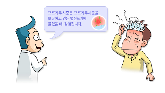 증상 발열