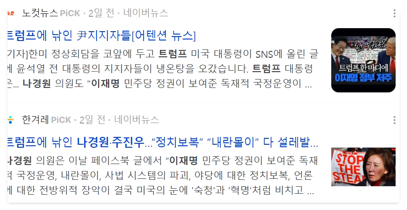 트럼트 나경원 극우 윤석열