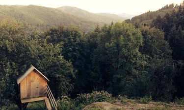 소중한 우리의 눈을 지키는법 가장 인기 있는 추천 정보 알아보기