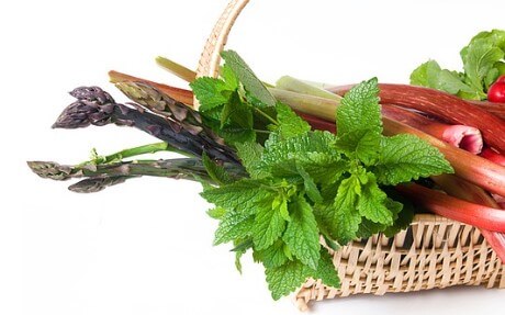 루바브 효능, 갱년기를 책임지는 필수 식품으로 알려져 있습니다.