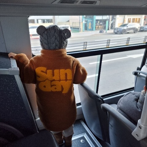 꿀복이