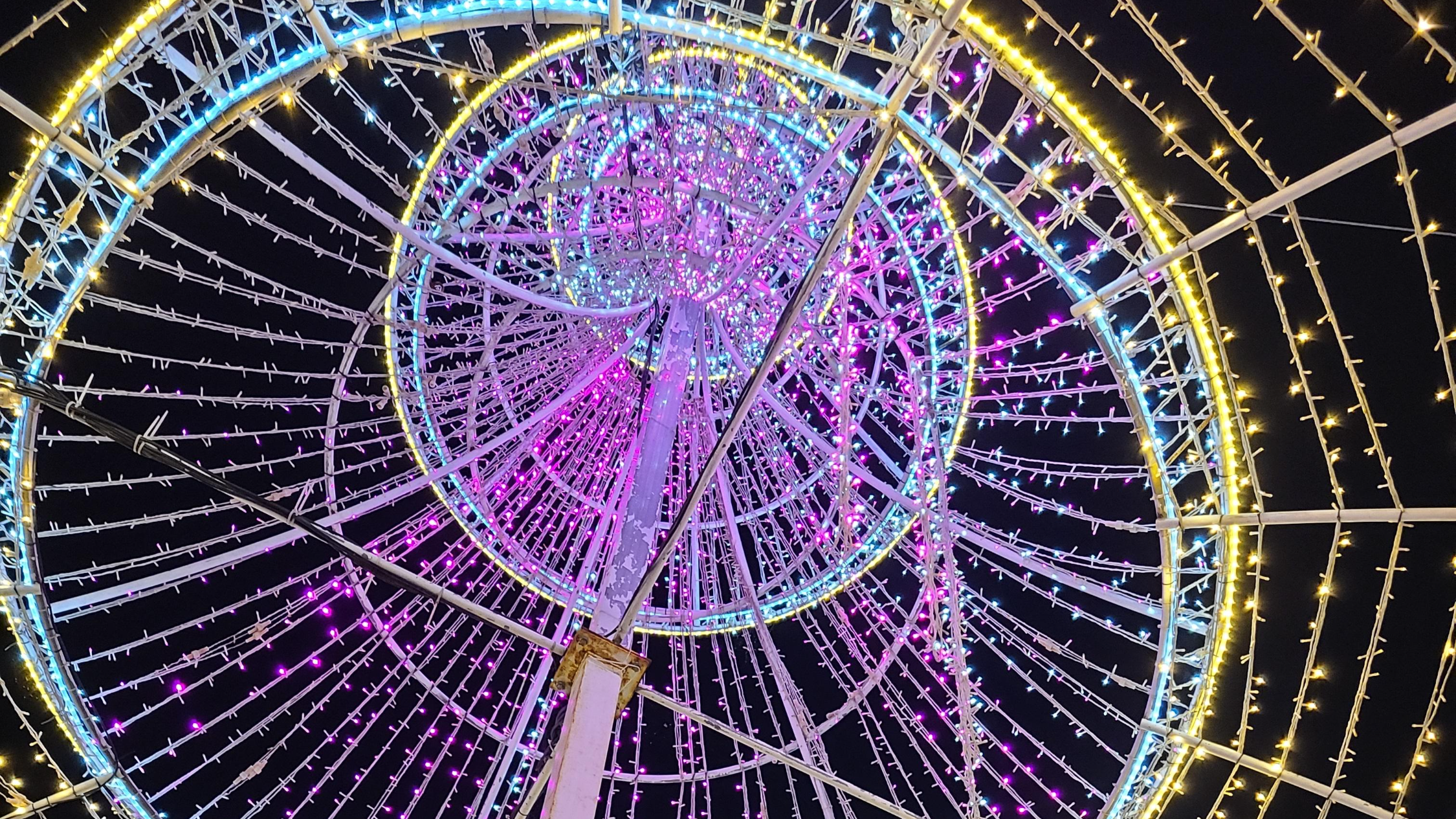 태안빛축제할인방법 태안별빛축제 태안불빛축제 태안애견동반 태안꽃축제 튤립축제 꽃박람회 태안할인