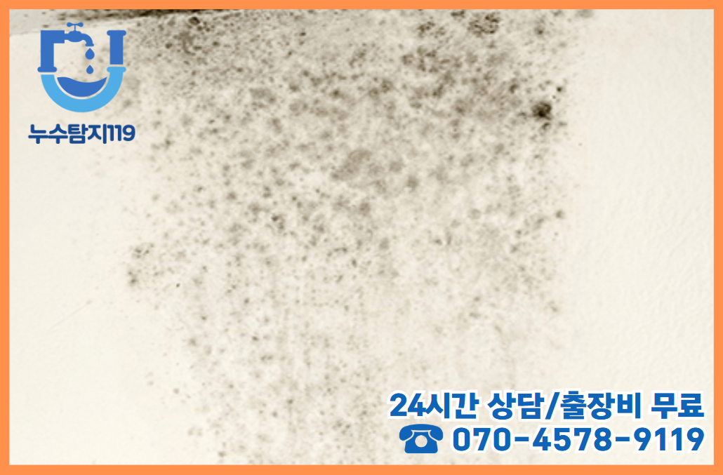괴곡동 화장실/욕실2