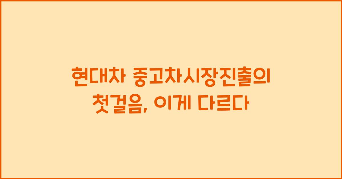 현대차 중고차시장진출