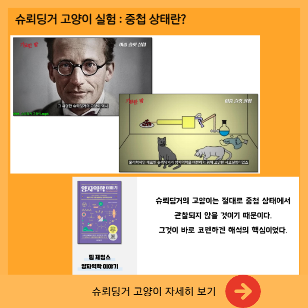 슈뢰딩거 고양이 실험과 중첩상태 설명 이미지