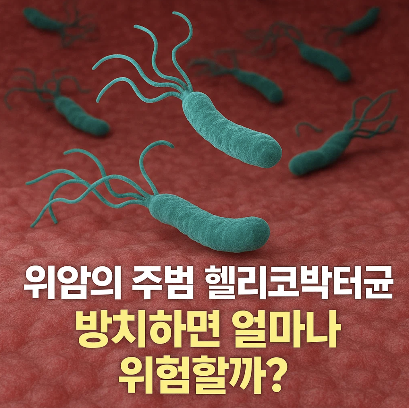 위암의 주범 헬리코박터균, 방치하면 얼마나 위험할까?