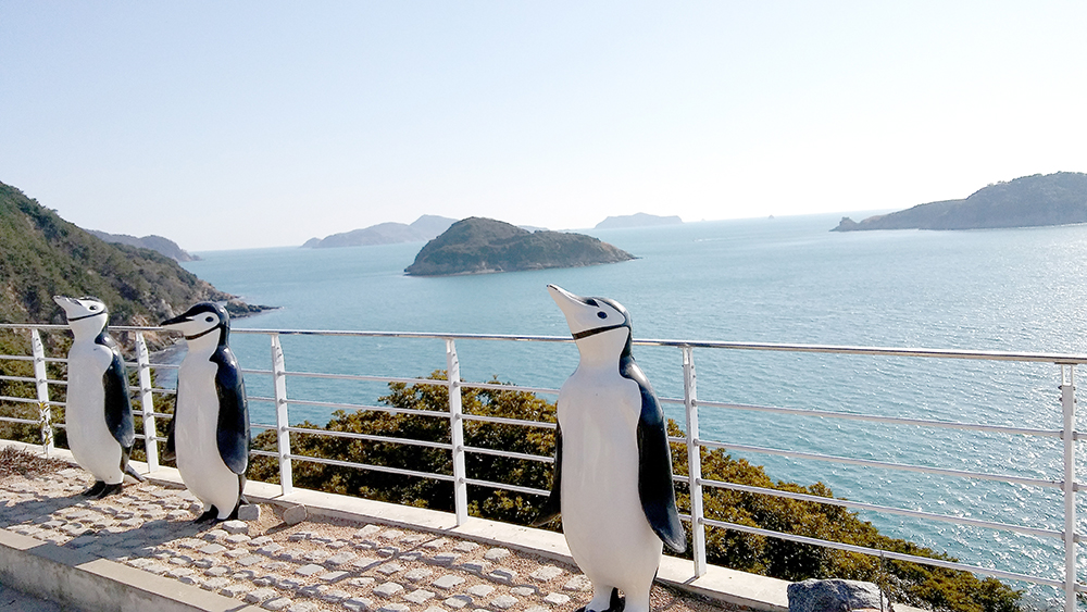 거제도 장사도 까멜리아힐