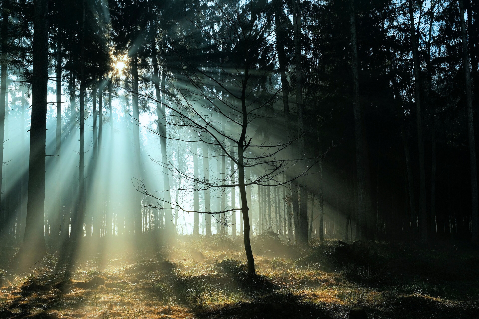 풍경 관련 사진