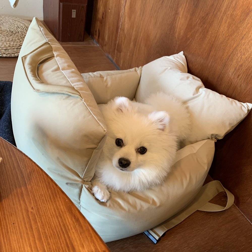 제주도 애견동반식당