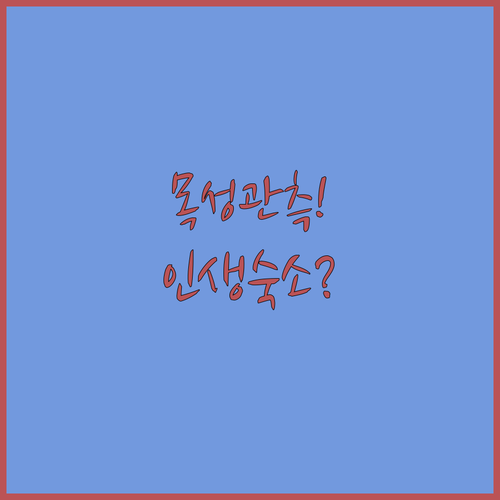 장흥천문대 목성 관측 후기와 강진 목..