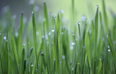 수직농업 전문가 &ndash; 도심 속 고층 건물에서 농작물을 재배하는 직업