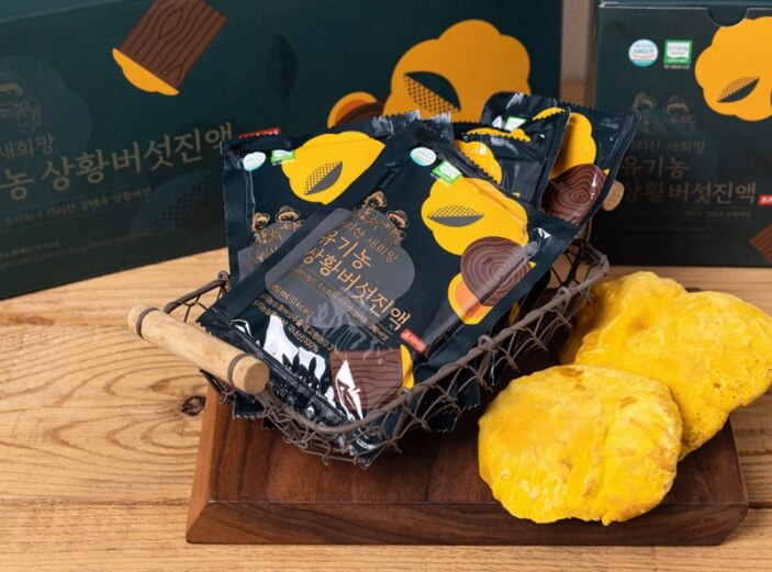 6시내고향 경남 산청 상황버섯 명가 지리산새희망상황버섯 주문방법