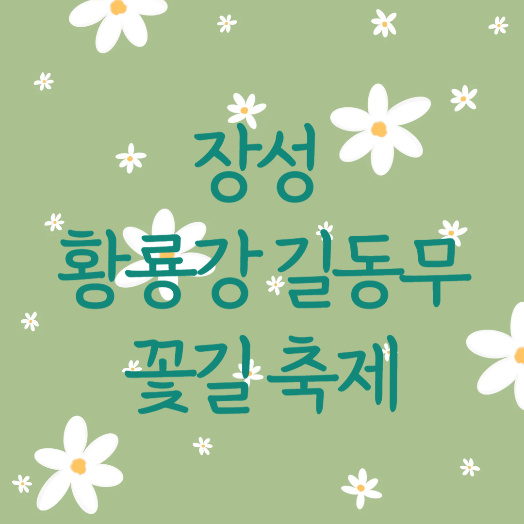 장성 황룡강 길동무 꽃길 축제