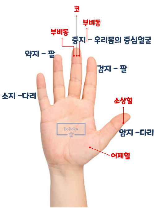 비염에-좋은-손가락-지압위치