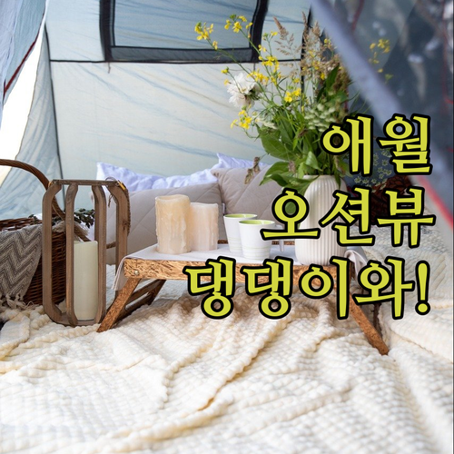 반려견 동반 가능한 제주 애월 해안도..