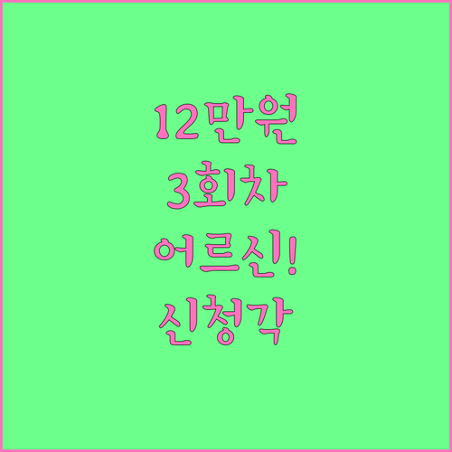 2026년어르신스포츠상품권신청기간3회..