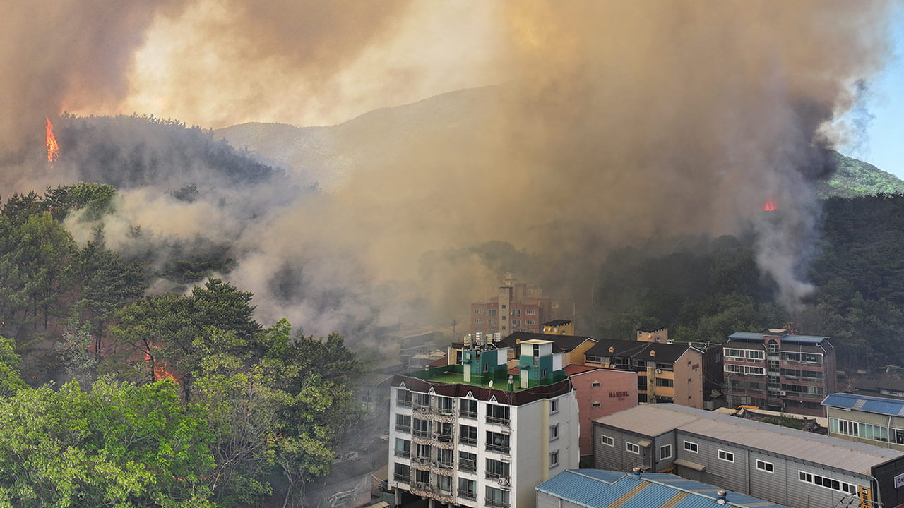 대구 함지산 산불 원인 실시간 상황 대피 주의사항