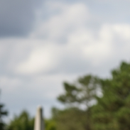 벌초 대행 서비스 비용 비교