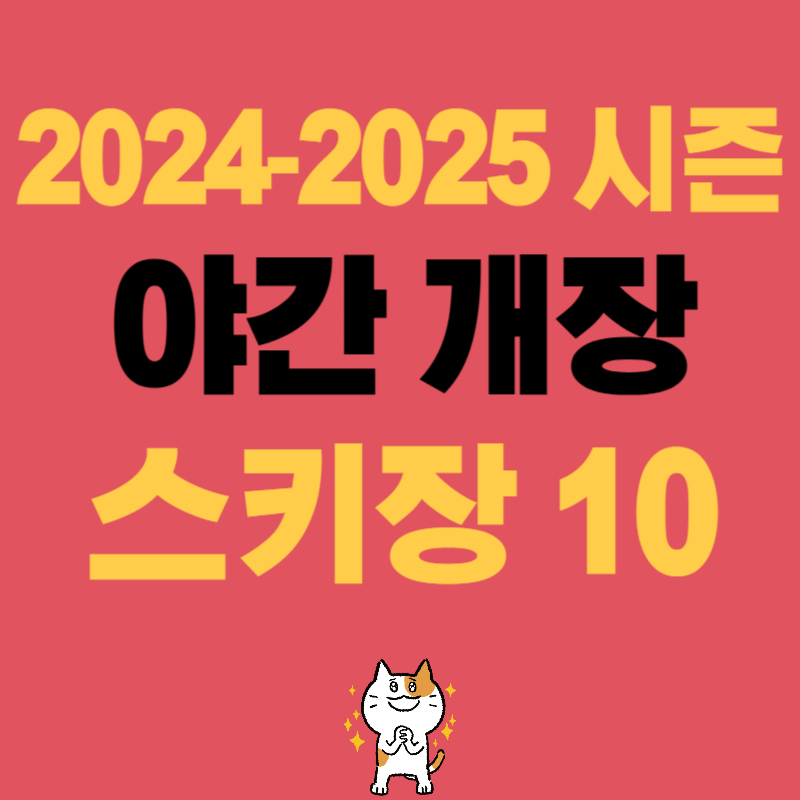 2025 야간 스키장 시즌권 가격정보