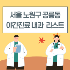 공릉동 야간진료 내과 병원 리스트 (18시 이후 늦게까지하는 병원)