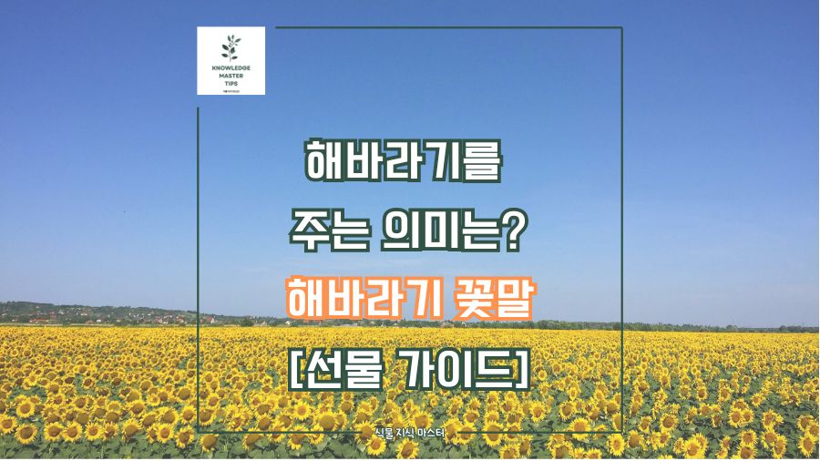 해바라기를 주는 의미, 해바라기 꽃말