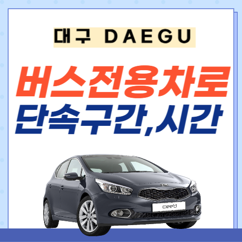 대구버스전용차로-썸네일