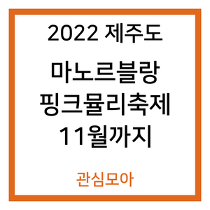 2022 제주도 마노르블랑 핑크뮬리축제 11월까지