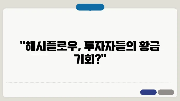 해시플로우(HFT) 코인의 시세와 2024년의 전망