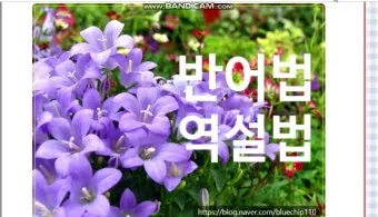 역설법 반어법 구분 사용 예시_20