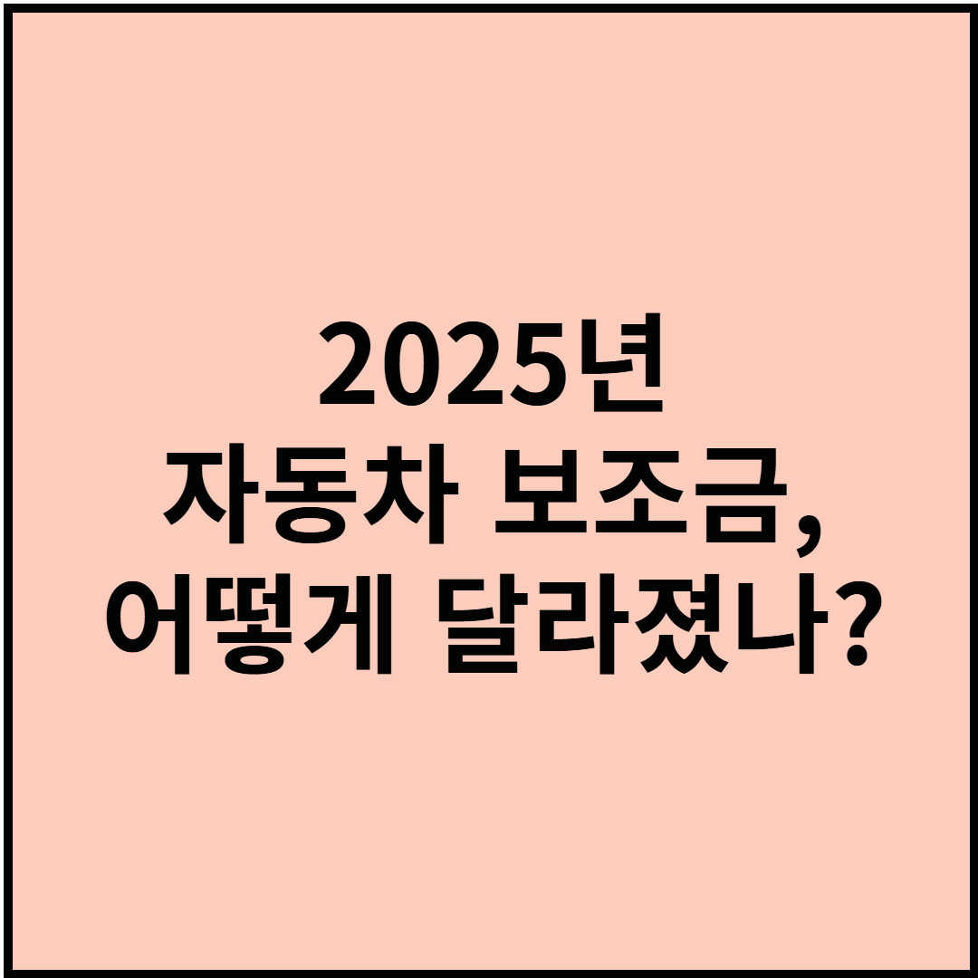 2025년 자동차 보조금, 어떻게 달라졌나?