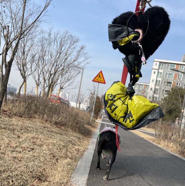 강아지 똥 주워서 산책가는길