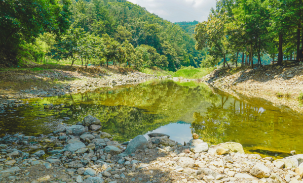 천안 1인 가구 생활비 상세 분석 — “최저 생존비”가 아니라 “장기 유지 가능한 현실 예산”