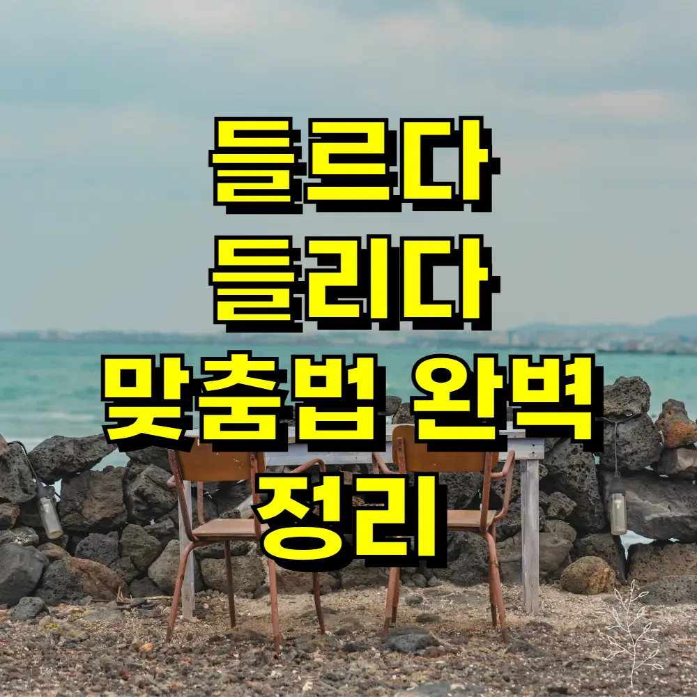 들르다 들리다 맞춤법 완벽 정리