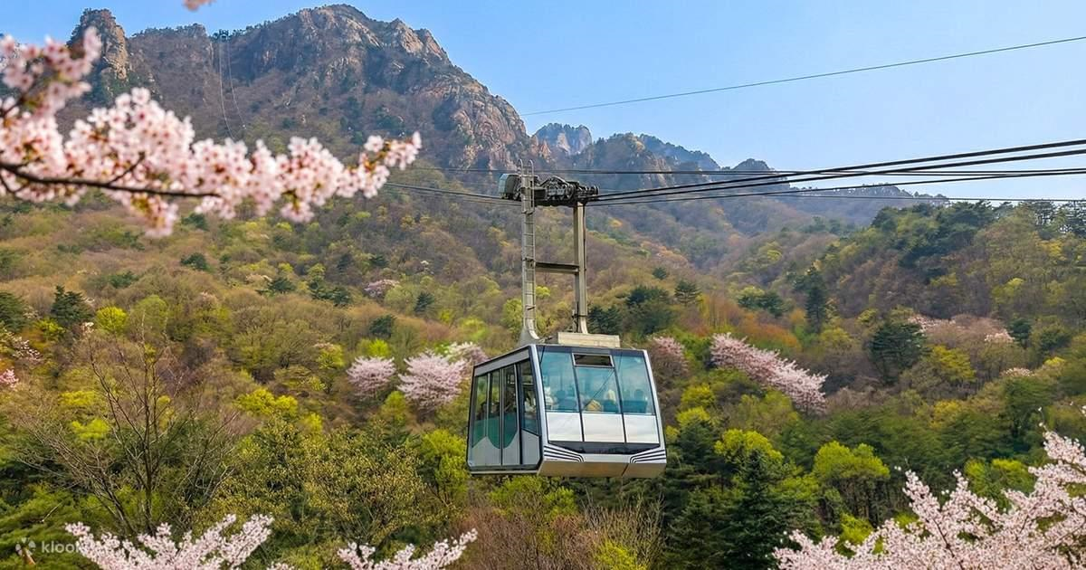 설악산 오픈런 케이블카