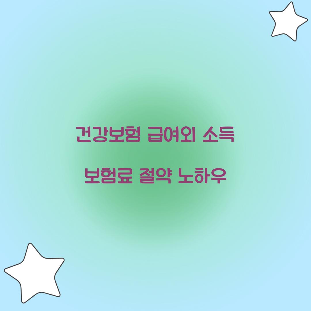 건강보험 급여외 소득 보험료