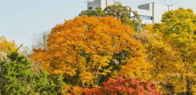 서울근교 단풍 명소 추천
